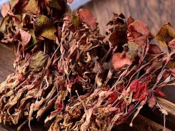 Суперкачествен изсушен Anoectochilus Roxburghii пристига на специализираните пазари