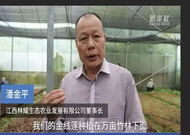 Пан Джинпин, председател на Jiangxi Linyao Ecological Agriculture Development Co., Ltd., интервюиран от агенция Синхуа