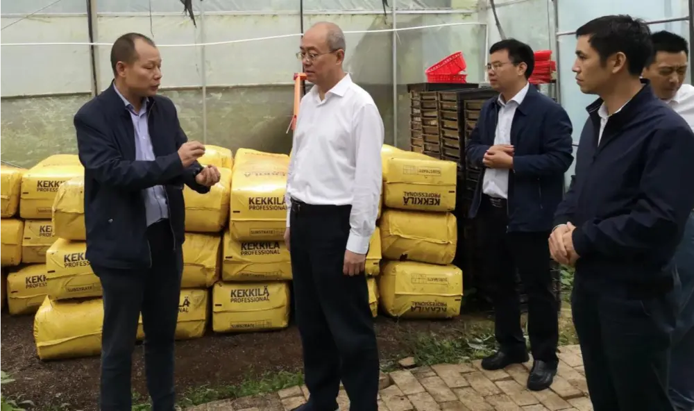 Xie Guanghua, партиен секретар и директор на администрацията на традиционната китайска медицина в провинция Jiangxi, провежда изследвания в базата за засаждане на Anoectochilus